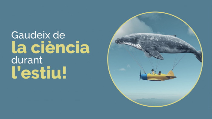 Casal científic 2020