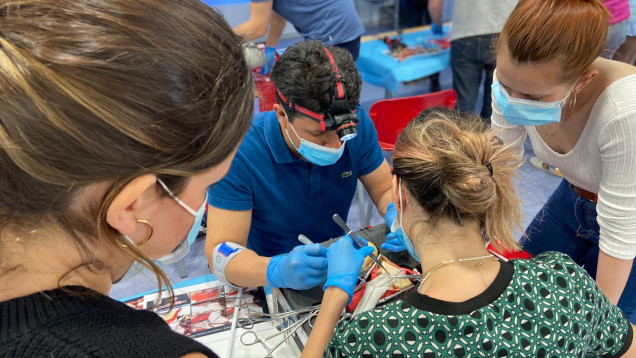 curs v360 cirurgia vascular vall hebron